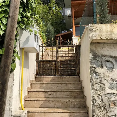 Maya *