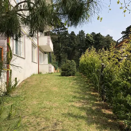 Maya Villa Sapanca